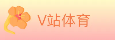 V站体育 logo